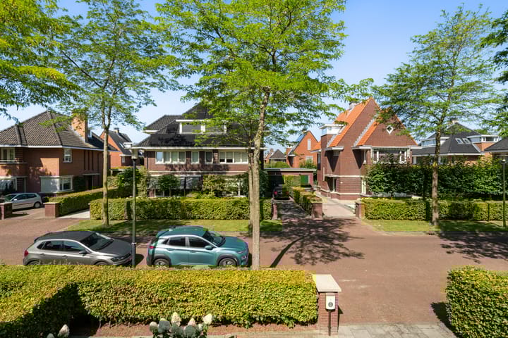 Foto 48 van Romanovhof 41