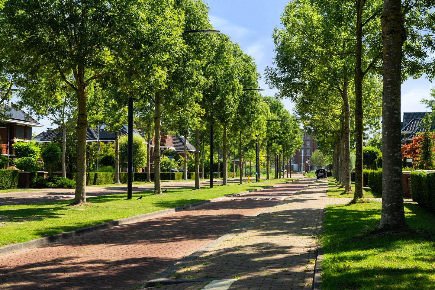 Photo 49 of Romanovhof 41