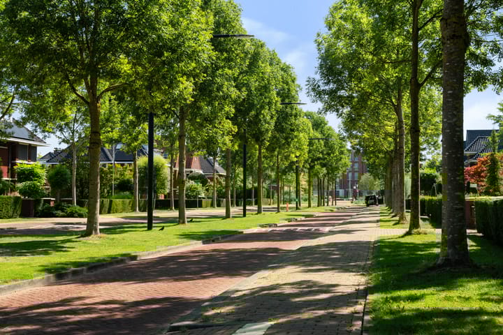 Foto 49 van Romanovhof 41