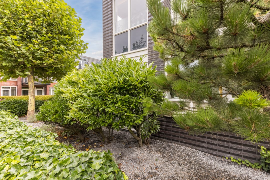 Photo 53 of Herenweg 170-A