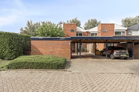 undefined main image