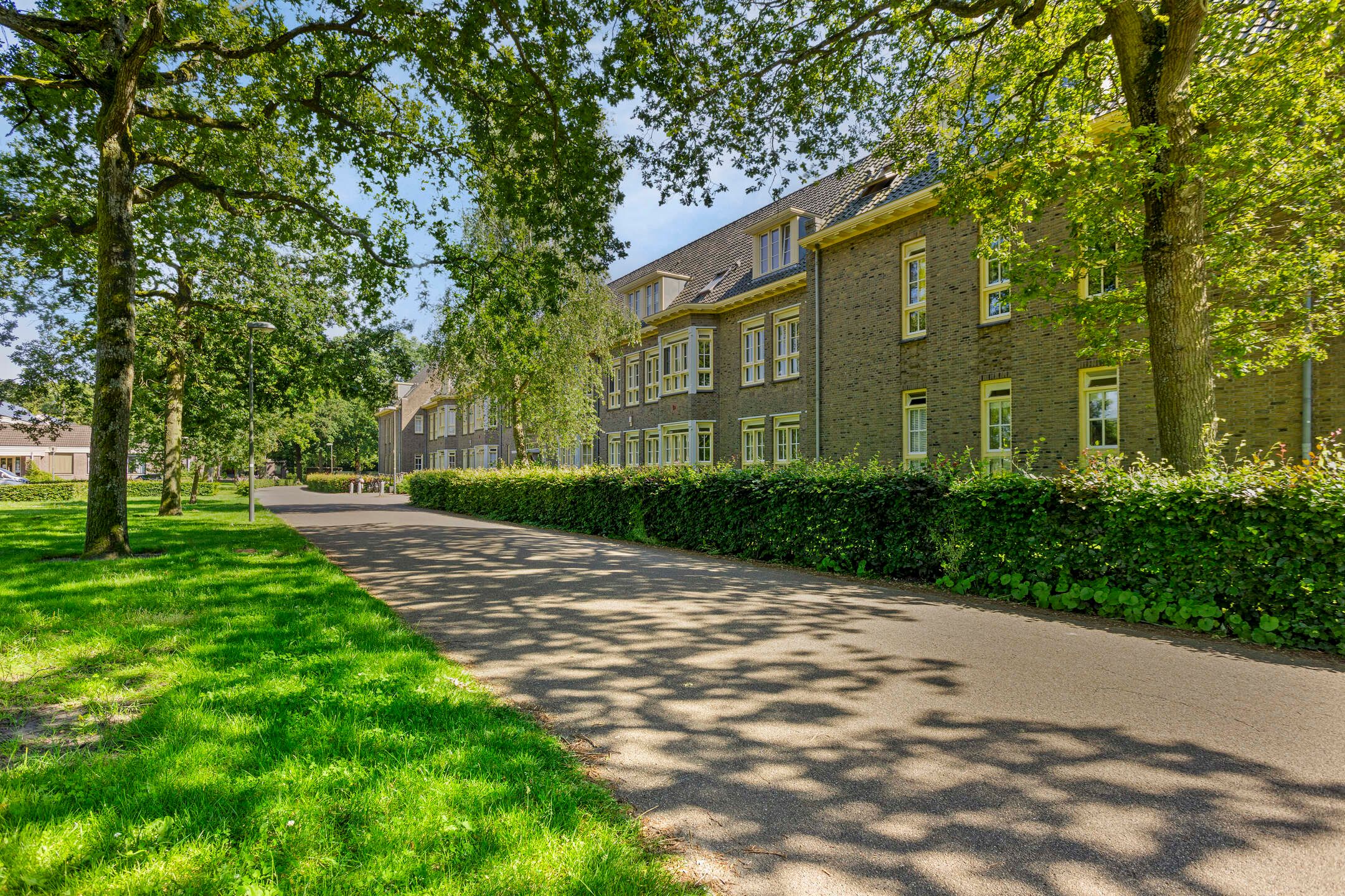 Foto 21 van De Olvendijk 53