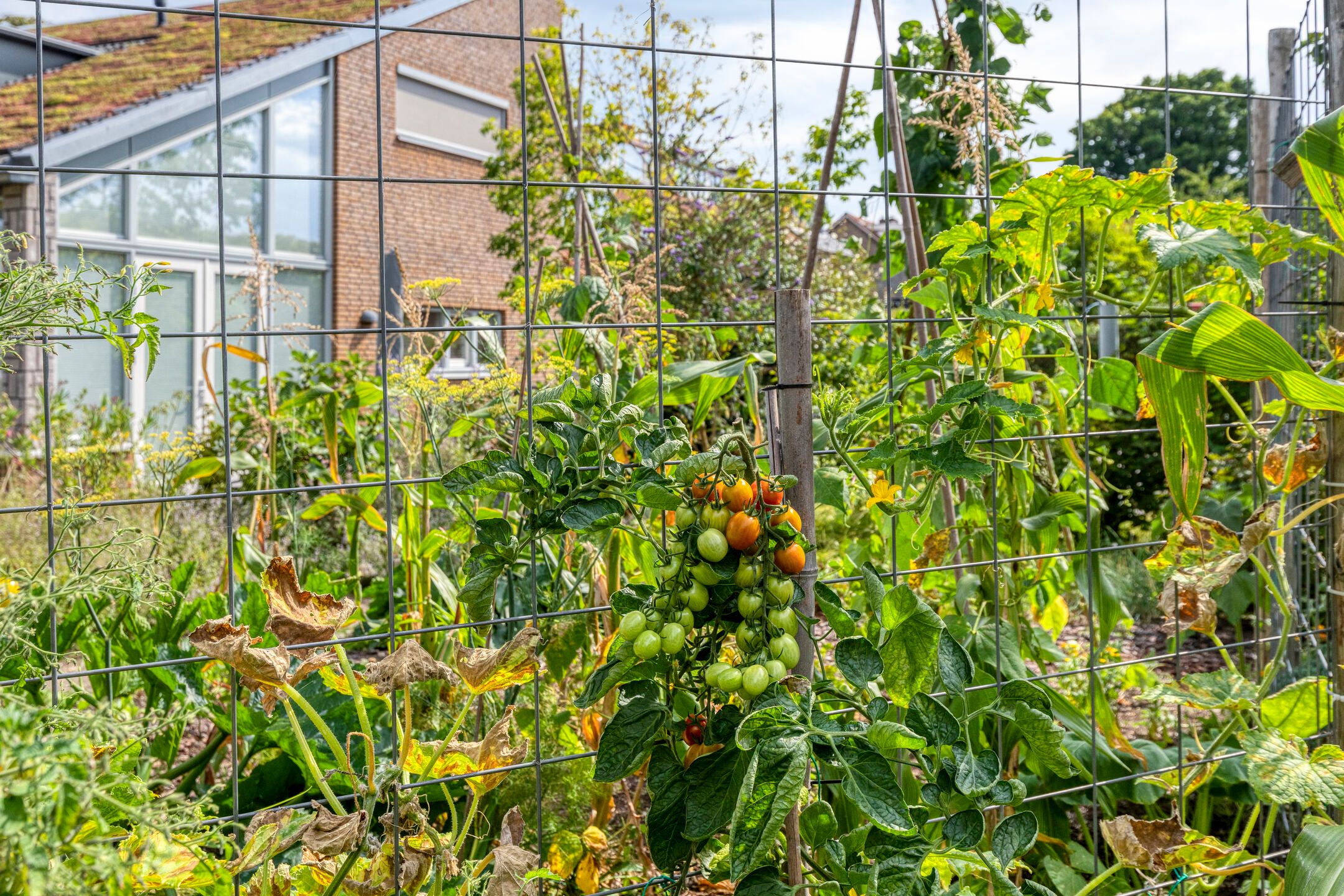 Foto 30 van Veldstraat 4-J