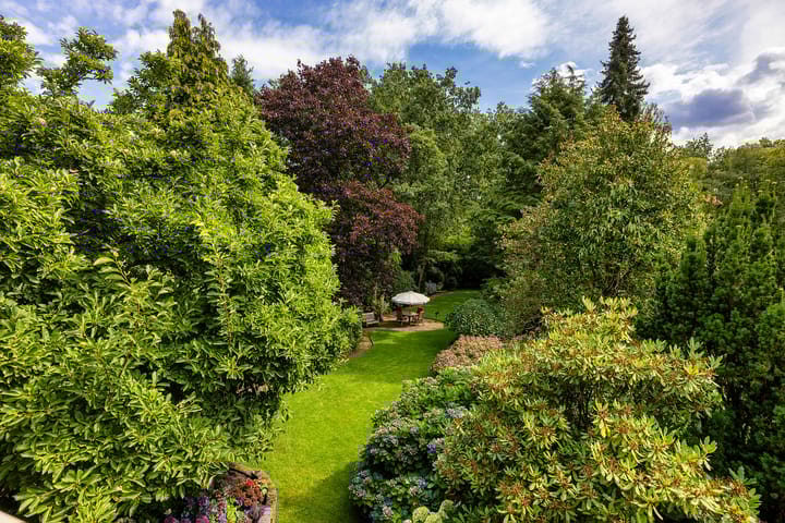 Foto 48 van Utrechtseweg 89