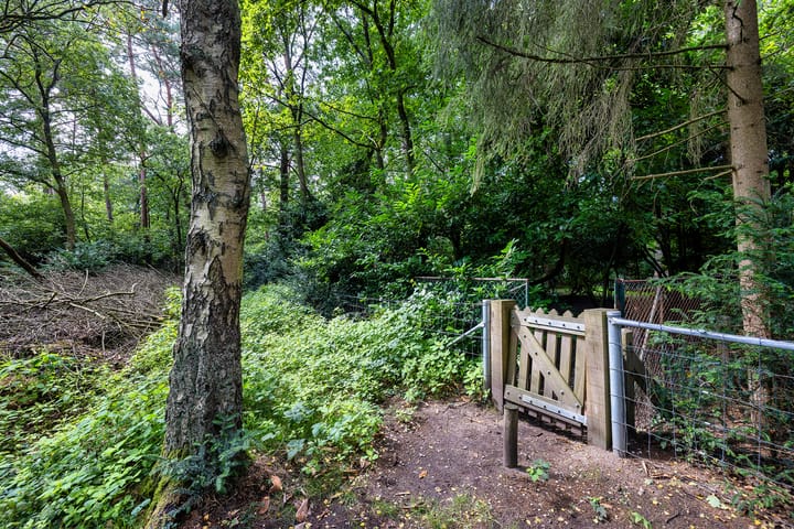 Foto 58 van Utrechtseweg 89