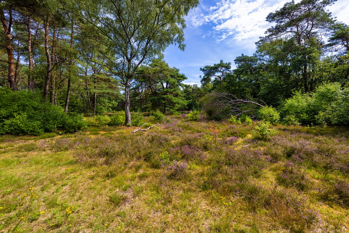 Foto 59 van Utrechtseweg 89