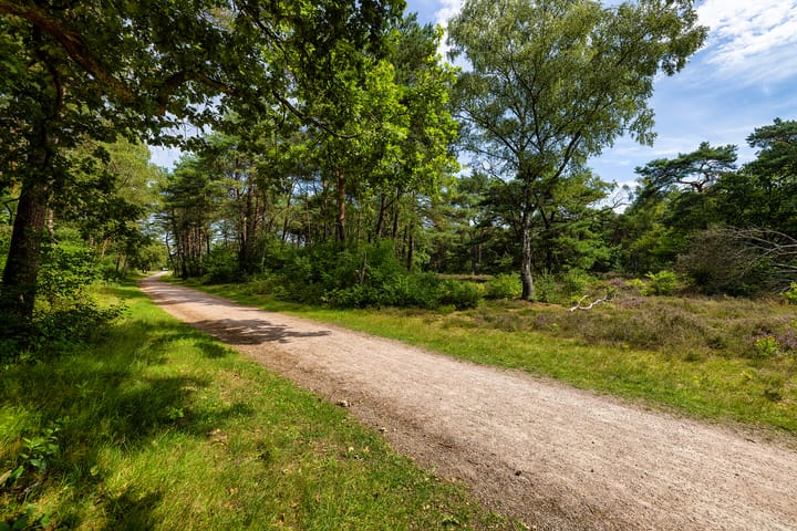 Foto 60 van Utrechtseweg 89