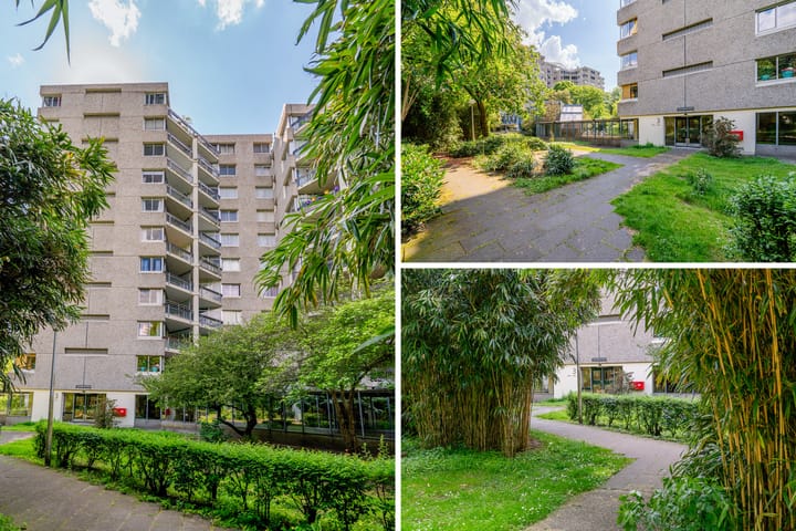 Foto 45 van Groenhoven 314