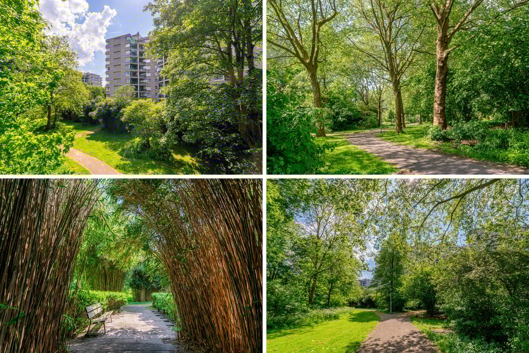 Photo 46 of Groenhoven 314