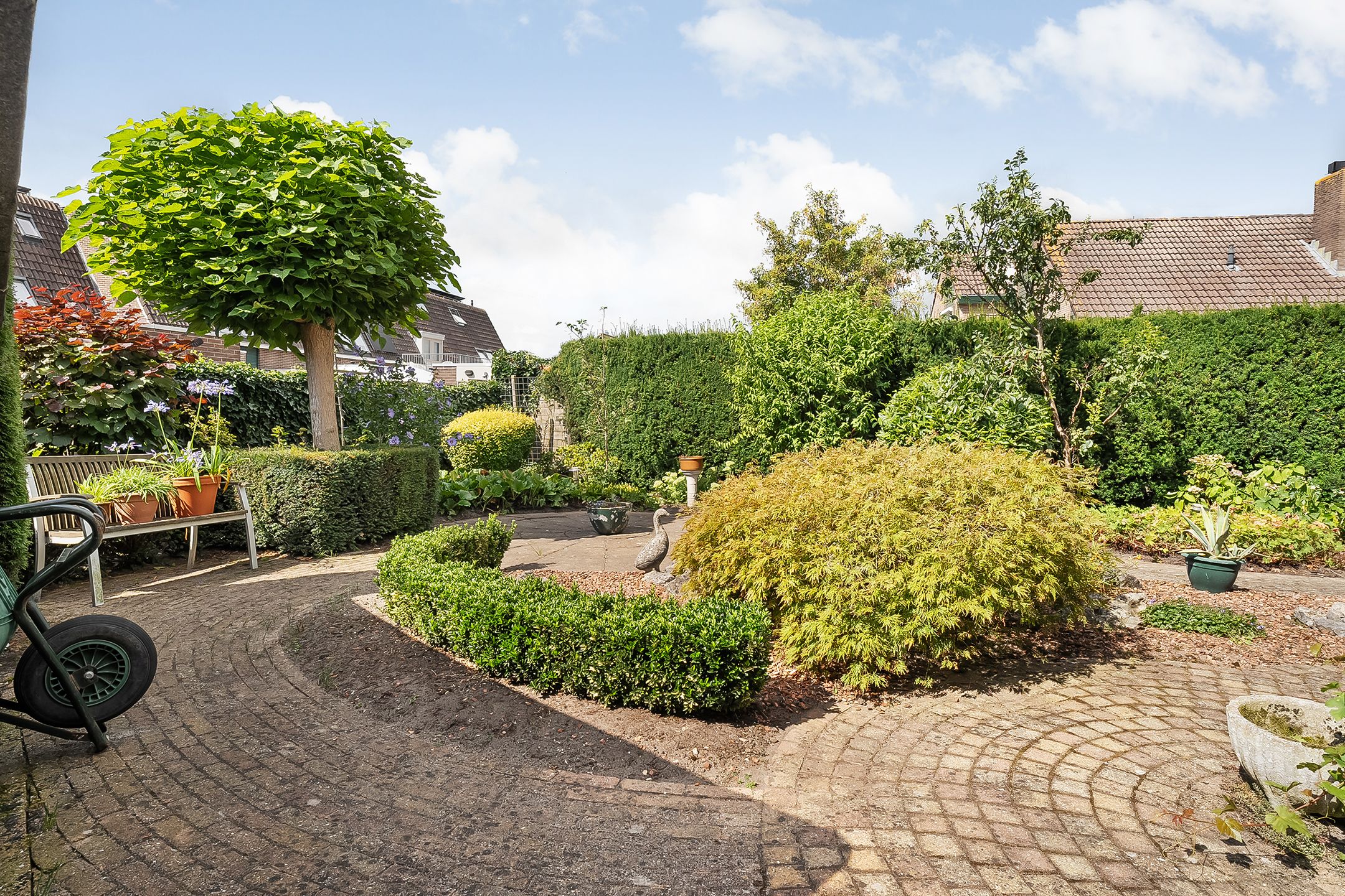 Foto 3 van Krabbescheer 33