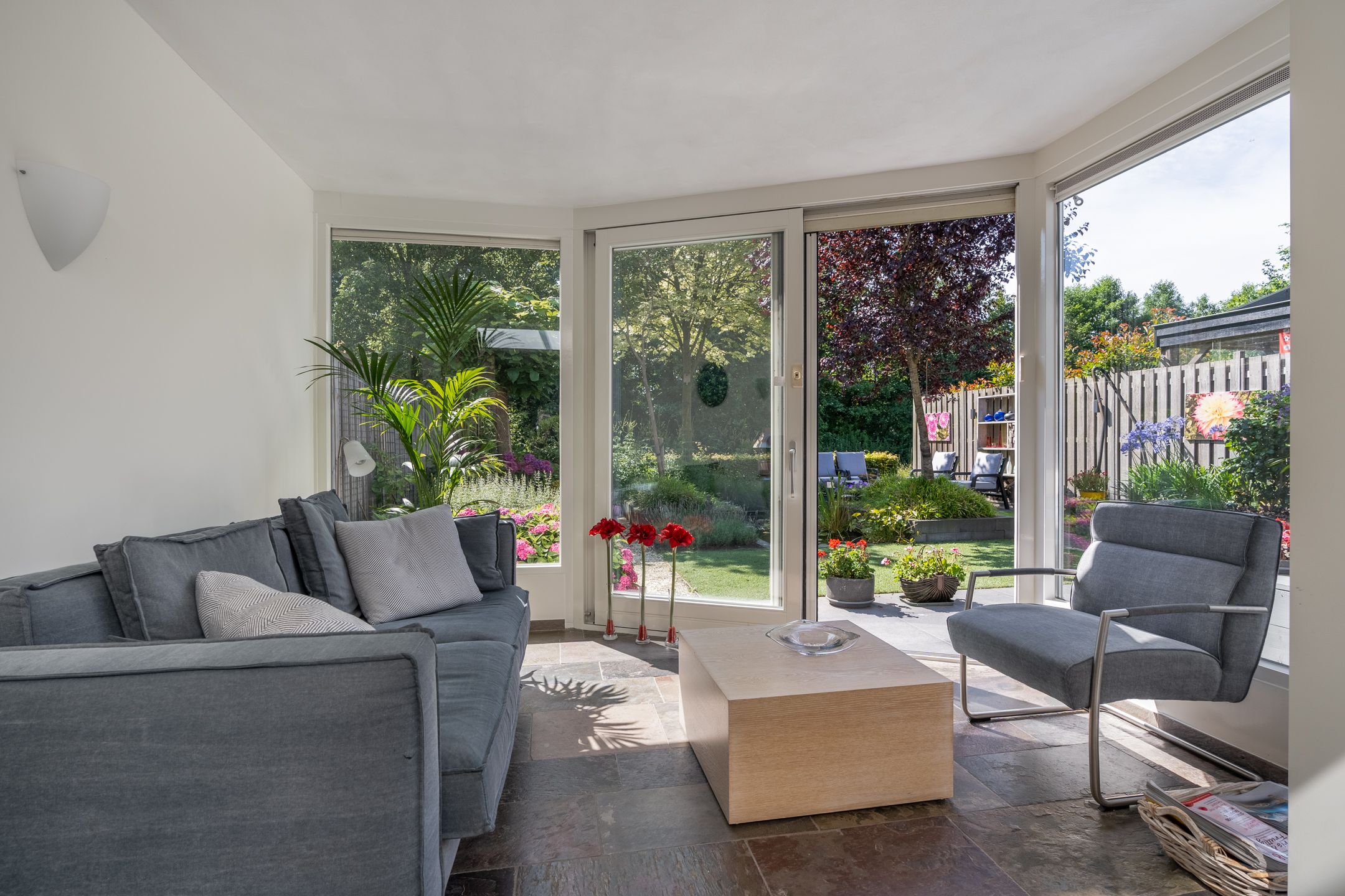 Foto 9 van Kruidnagel 2