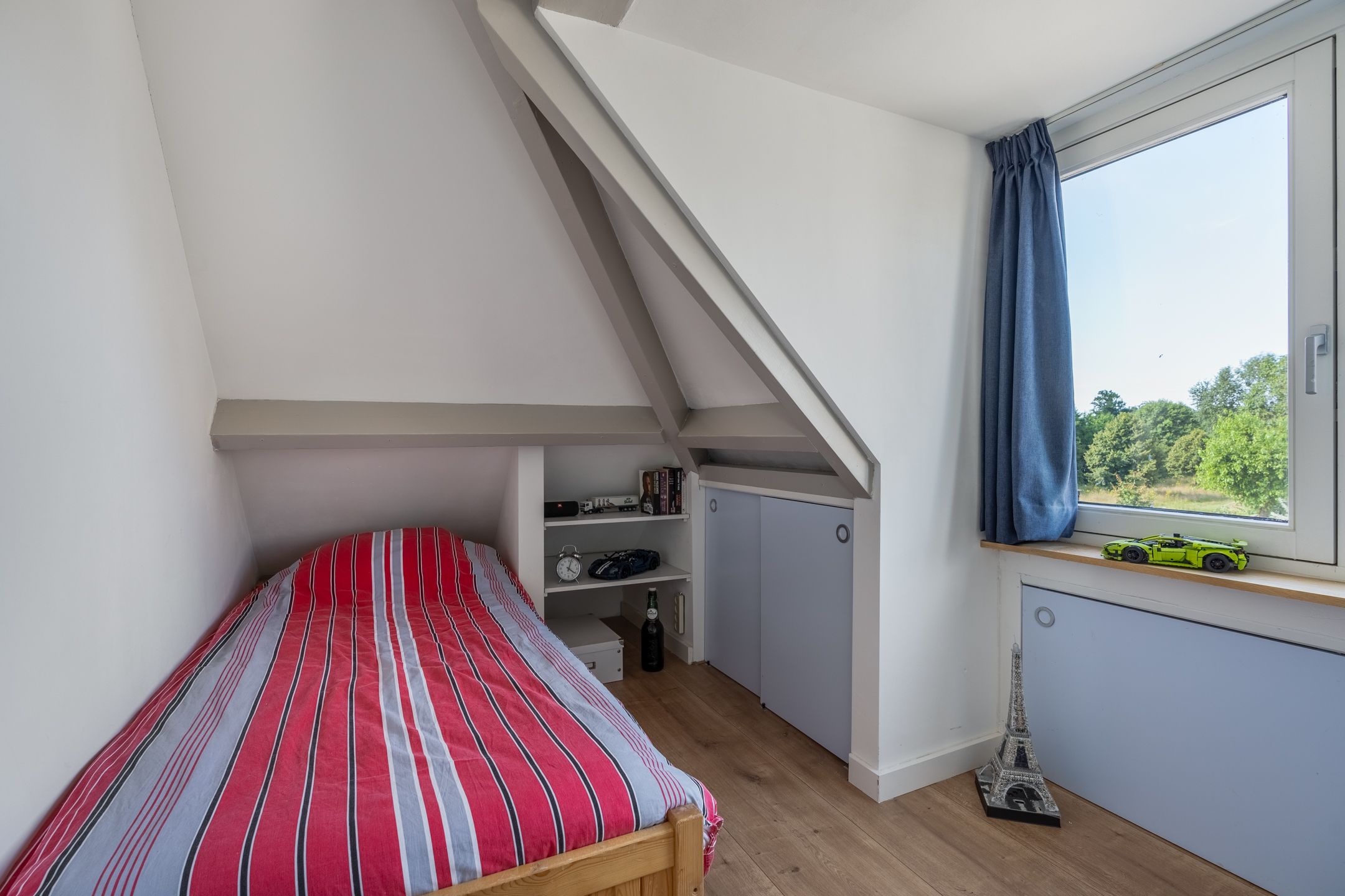 Foto 24 van Kruidnagel 2