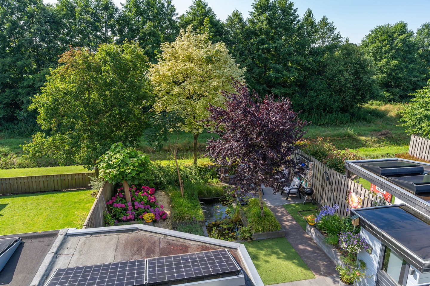 Foto 25 van Kruidnagel 2