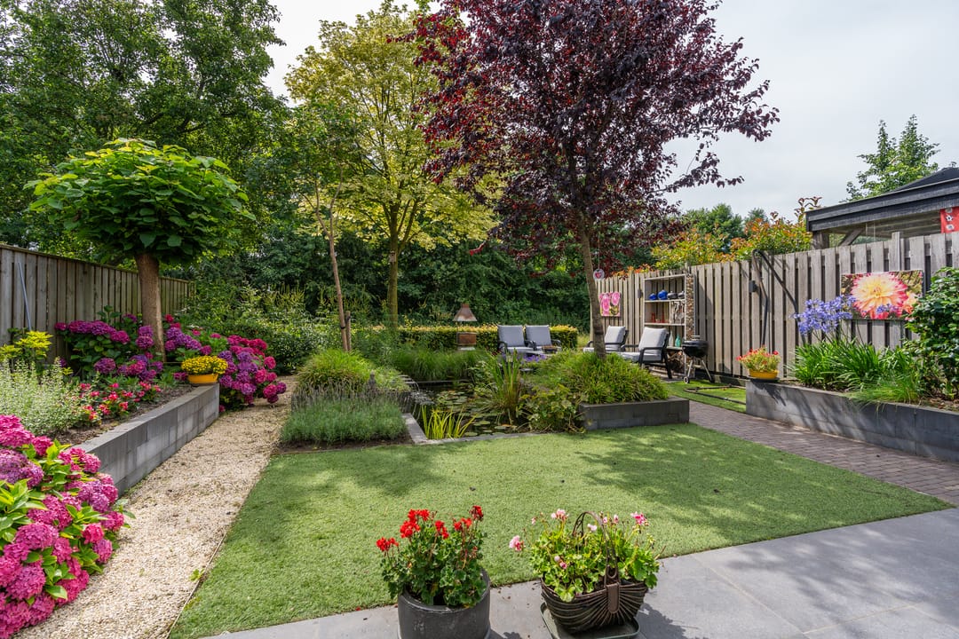 Foto 26 van Kruidnagel 2