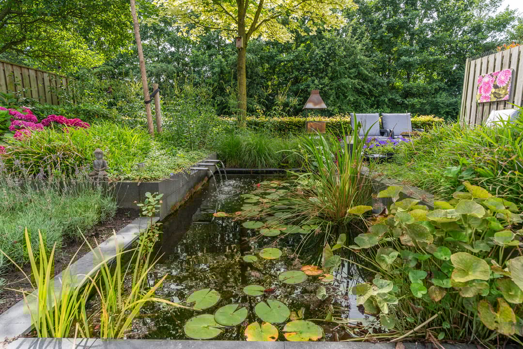 Foto 28 van Kruidnagel 2