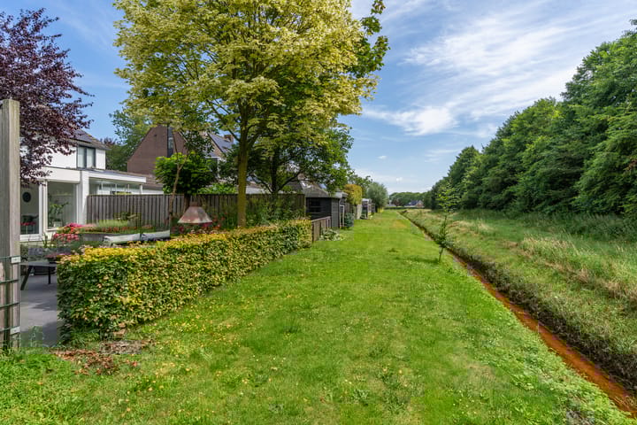 Foto 33 van Kruidnagel 2