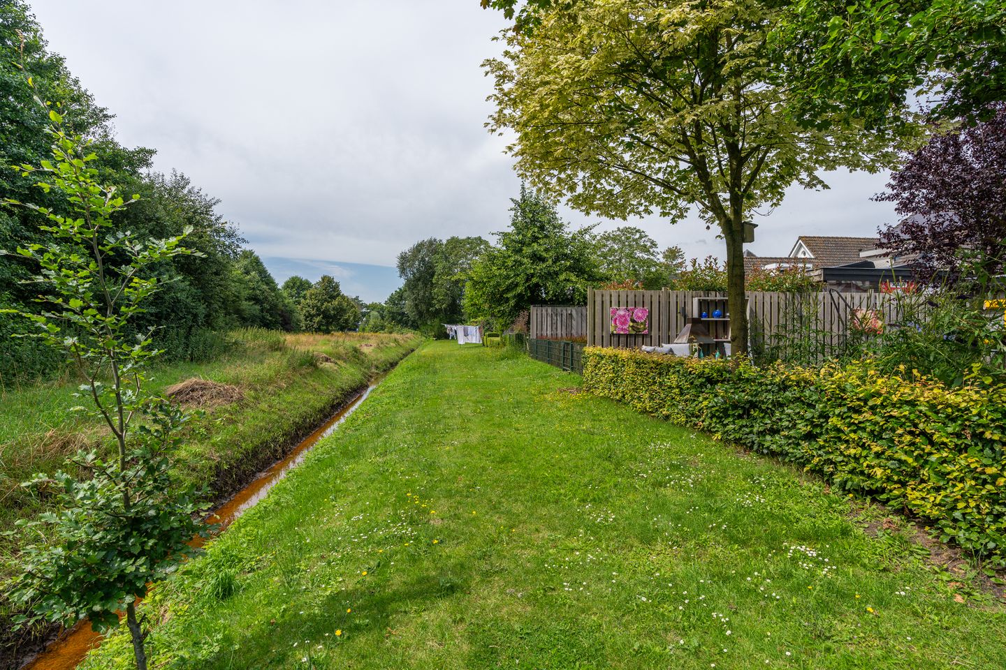 Foto 34 van Kruidnagel 2