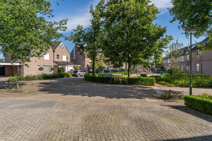 Foto 35 van Kruidnagel 2