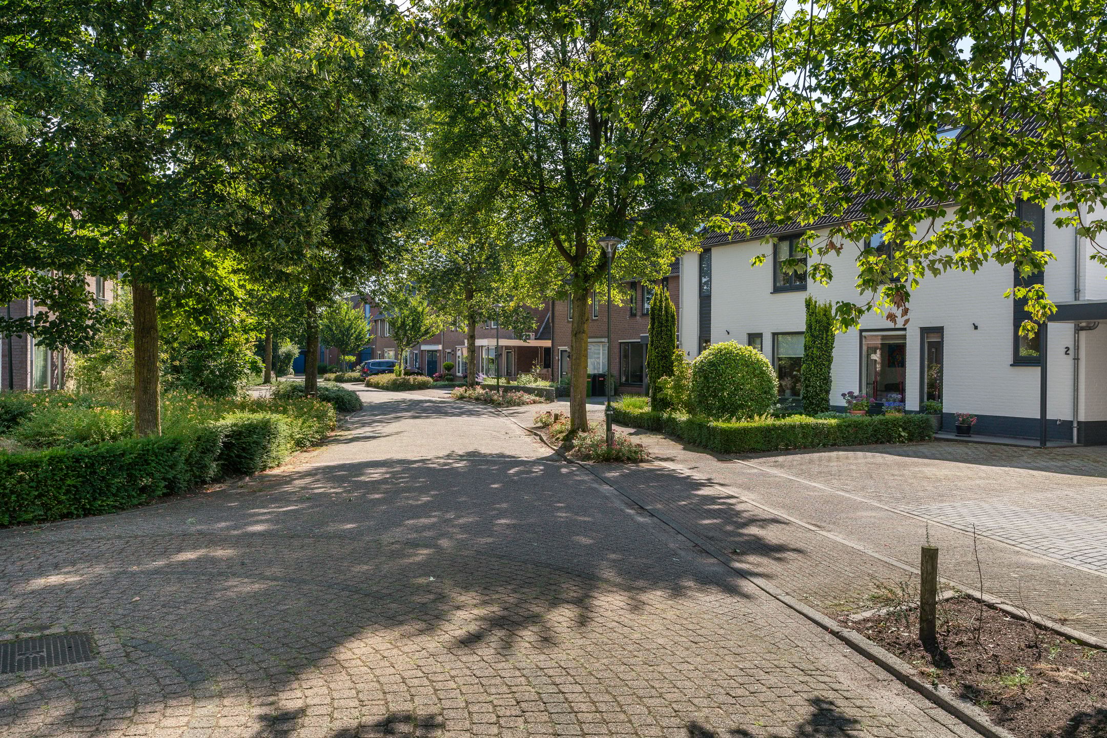 Foto 36 van Kruidnagel 2