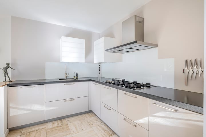 Foto 3 van de Kroeskarper 48