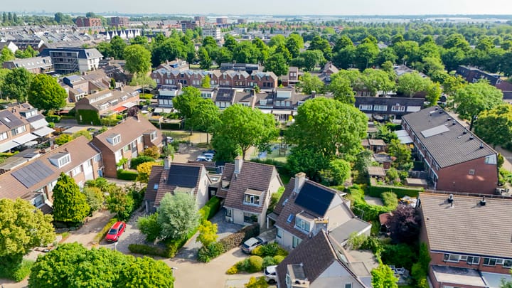 Foto 5 van de Kroeskarper 48