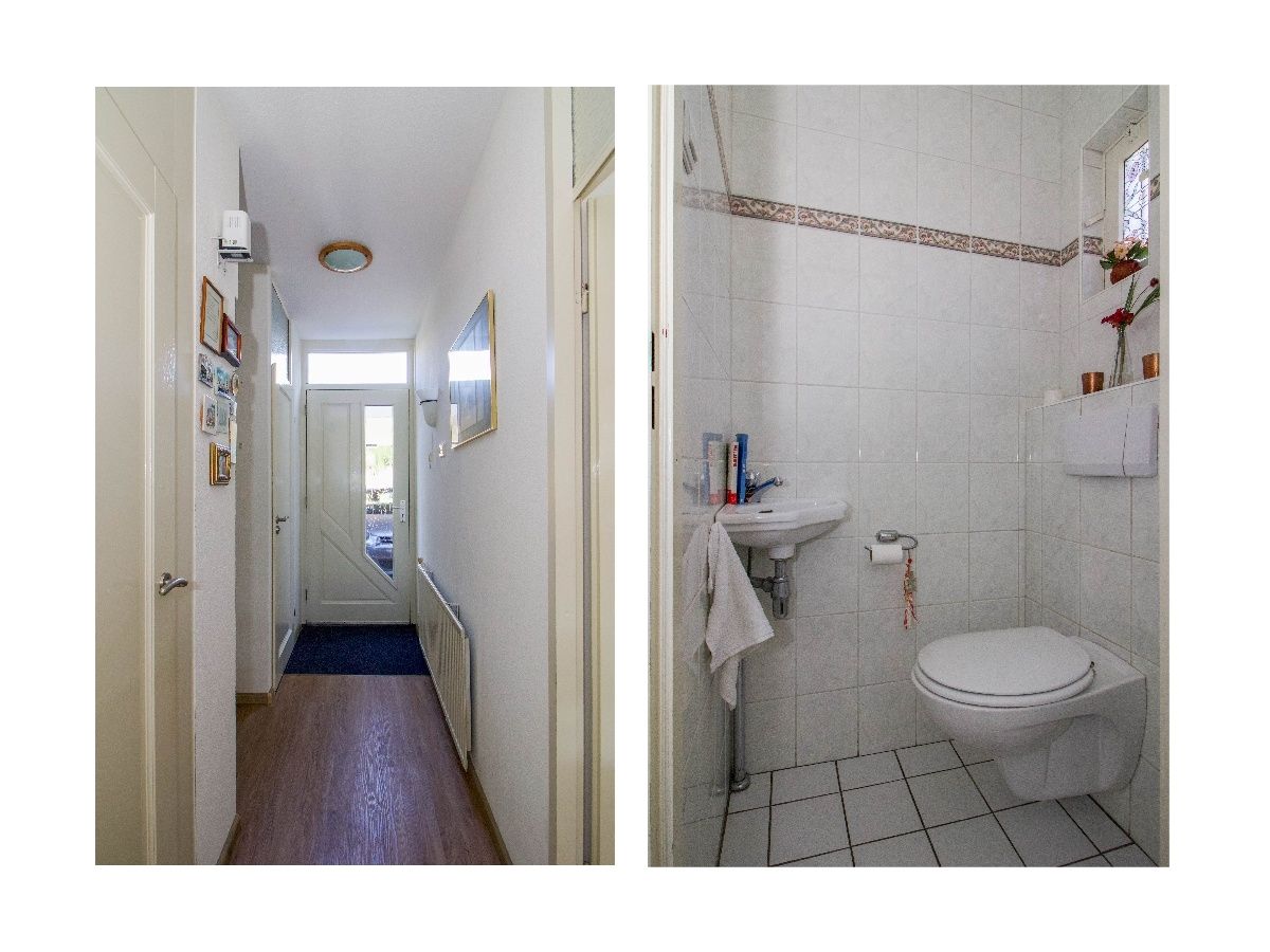 Foto 12 van Meerkoet 23