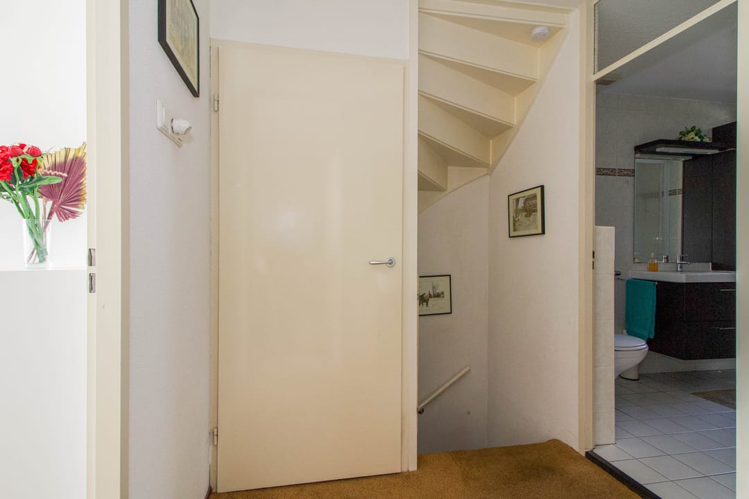 Foto 23 van Meerkoet 23