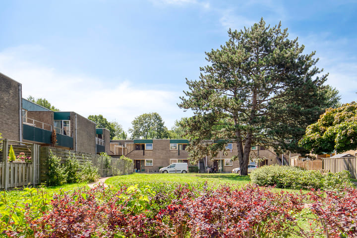 Foto 23 van Westerzicht 621