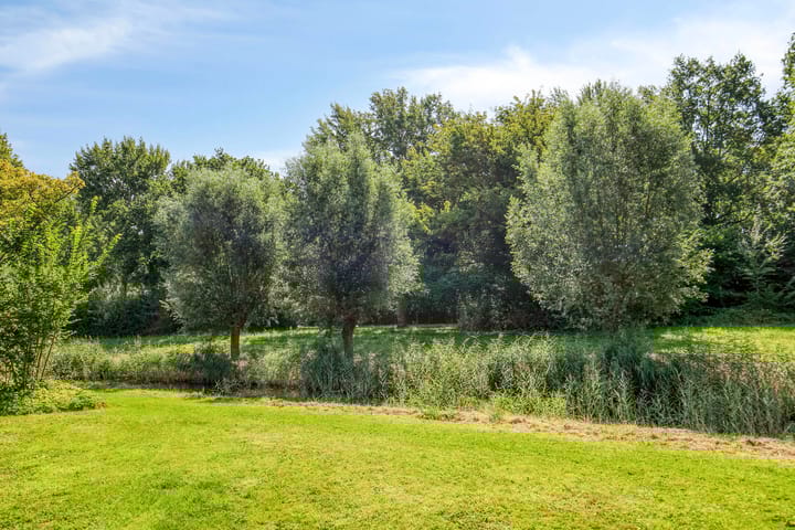 Foto 24 van Westerzicht 621