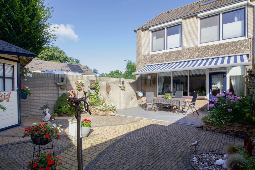 Foto 31 van Meerkoet 23