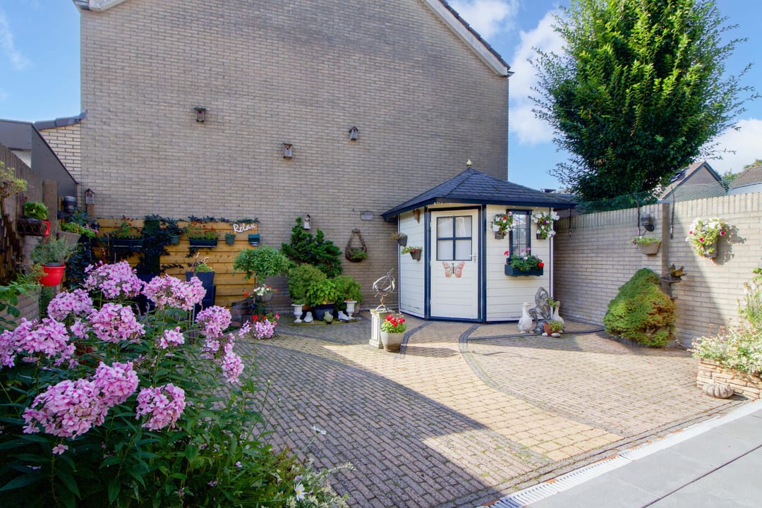 Foto 32 van Meerkoet 23