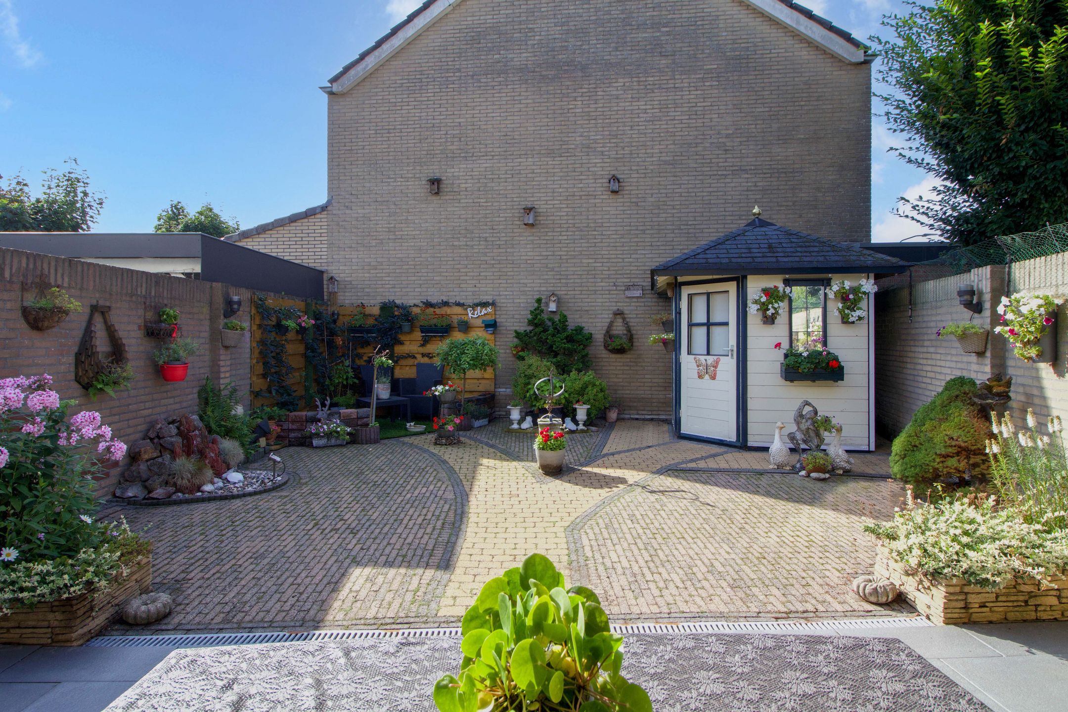 Foto 33 van Meerkoet 23