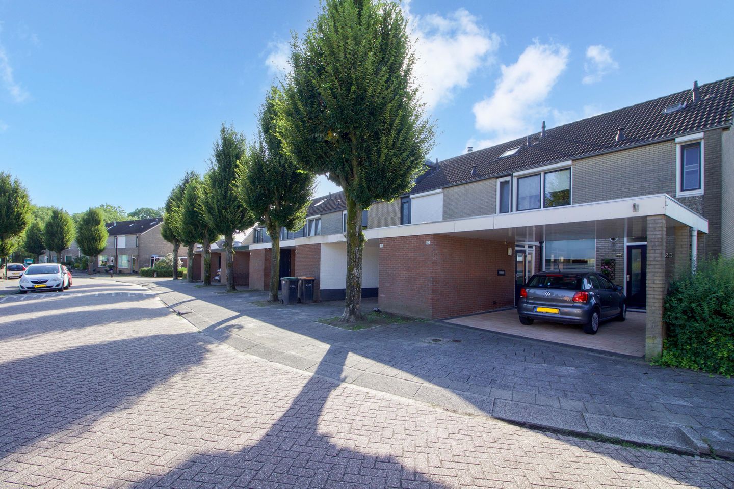 Foto 35 van Meerkoet 23