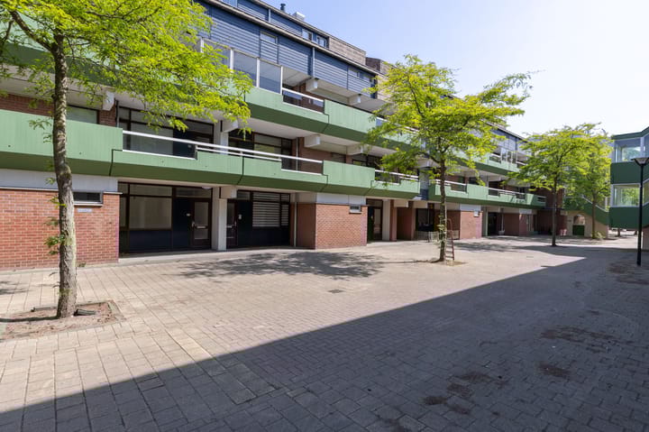 Bastion 381 main image