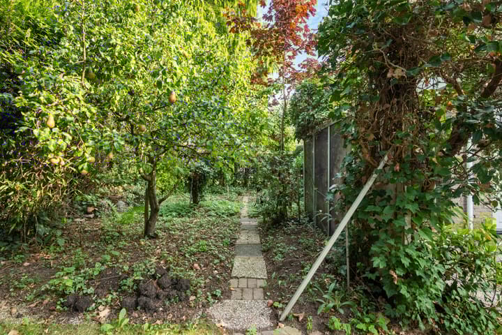 Foto 43 van Van Beethovensingel 6