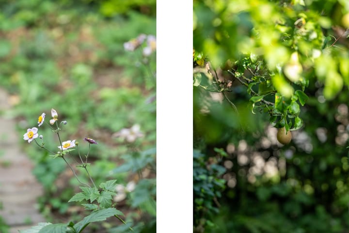 Foto 51 van Van Beethovensingel 6