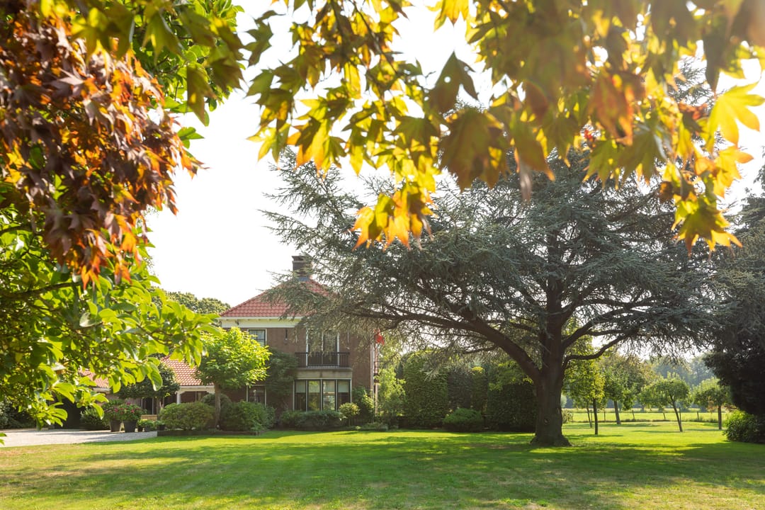 Photo 41 of Noordereinde 4