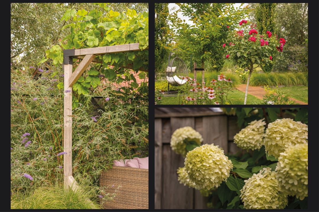 Foto 28 van Korenveld 39