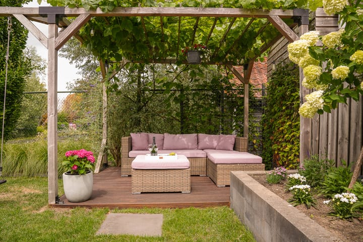 Photo 29 of Korenveld 39