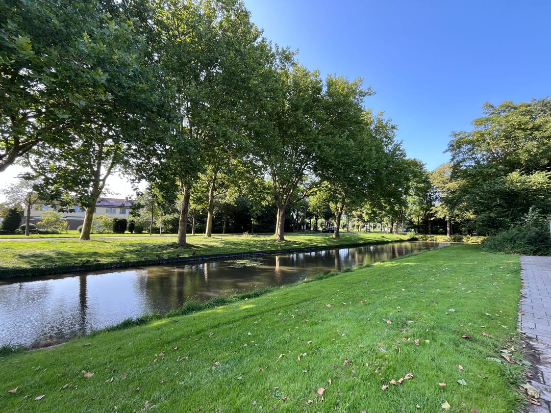 Foto 26 van Nachtegaalstraat 39