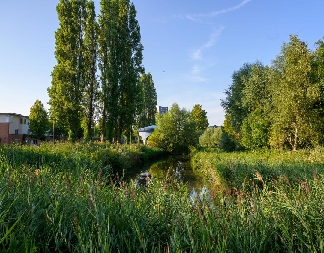 Photo 38 of Alhambralaan 55