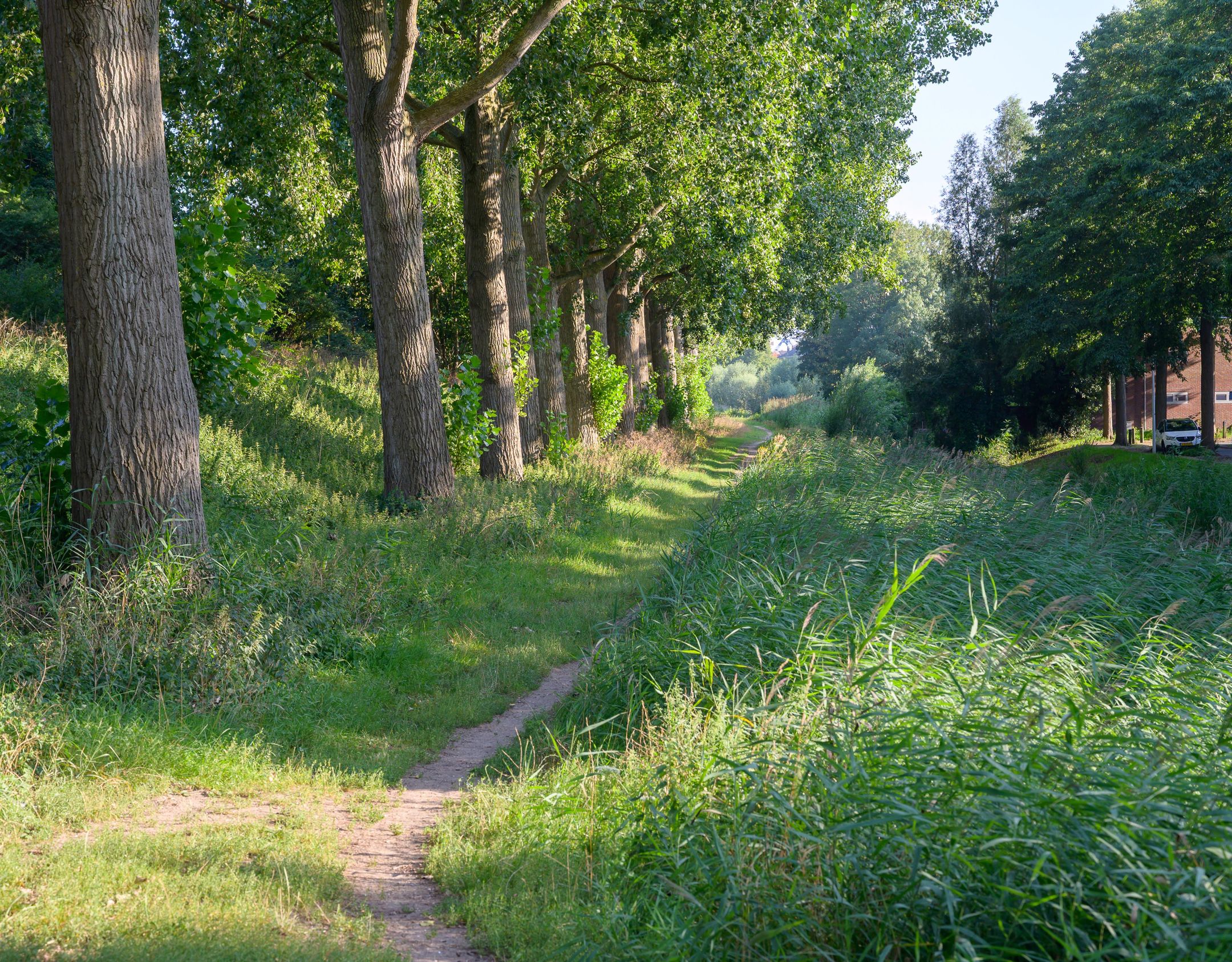 Photo 39 of Alhambralaan 55