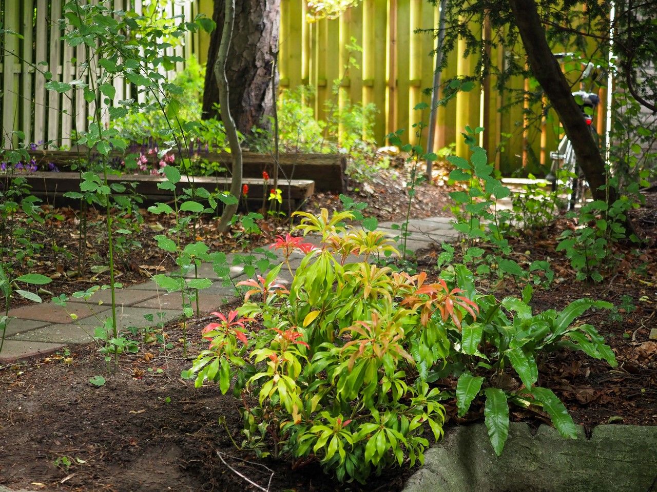 Foto 24 van Zocherstraat 10