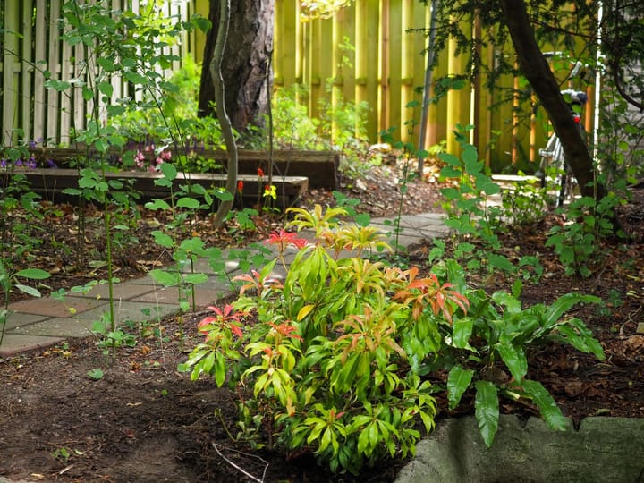 Photo 24 of Zocherstraat 10