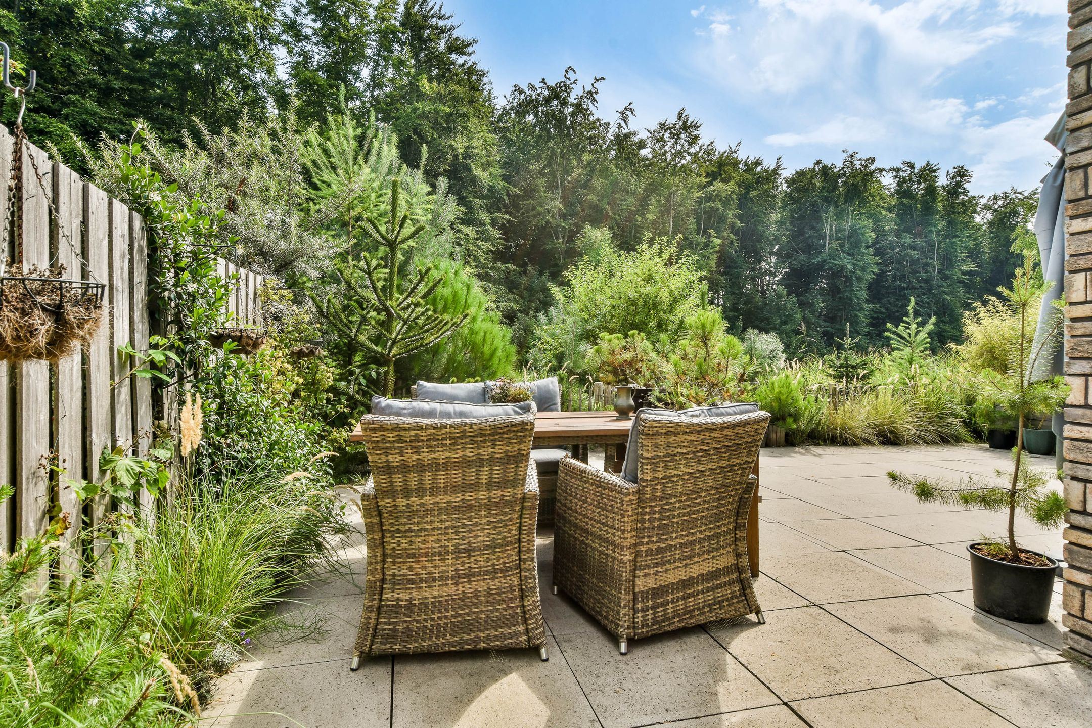 Foto 12 van Duinvoetstraat 23