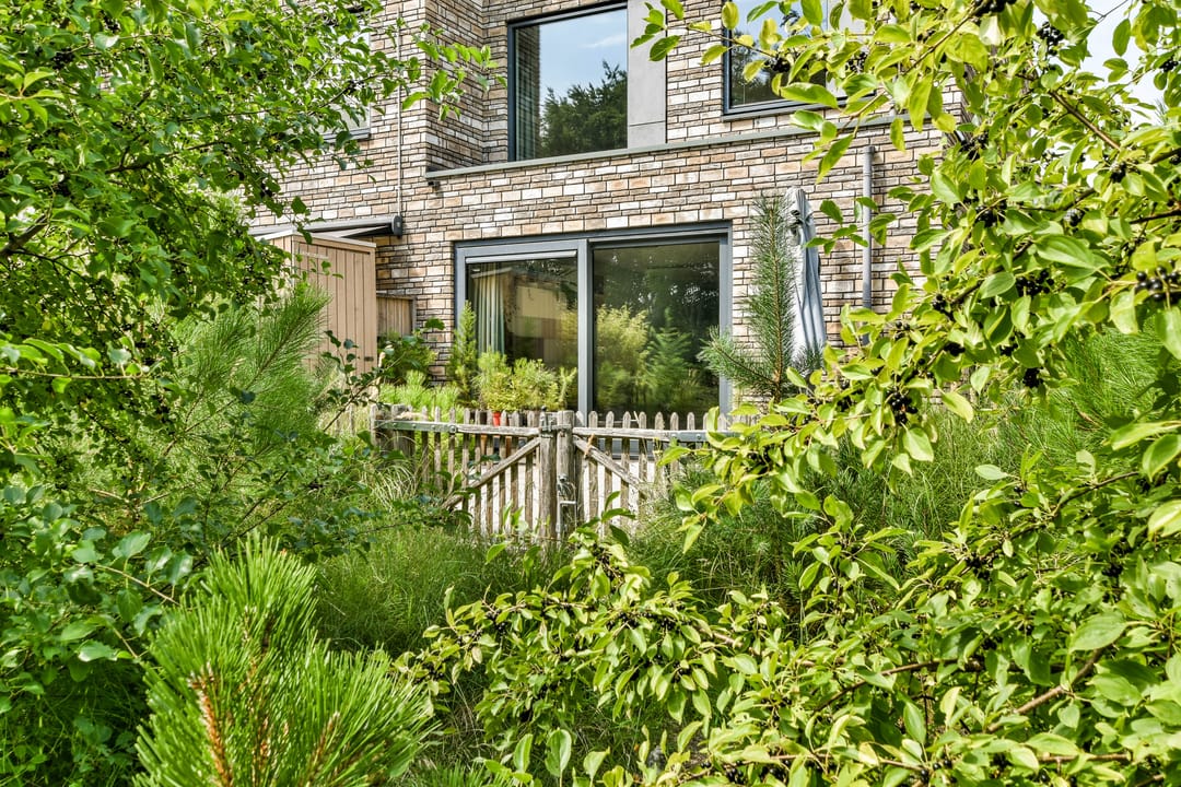 Foto 17 van Duinvoetstraat 23