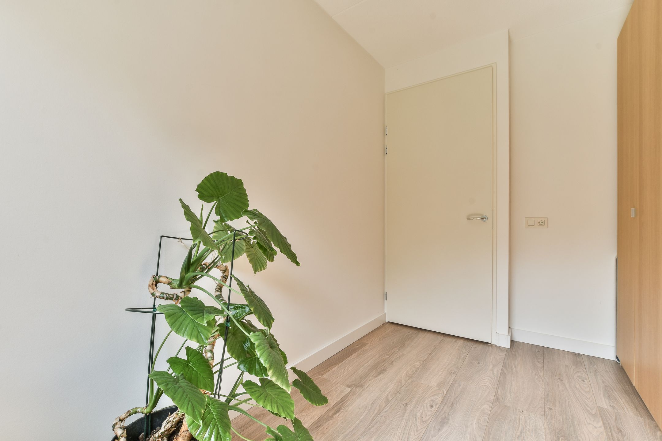 Foto 27 van Duinvoetstraat 23