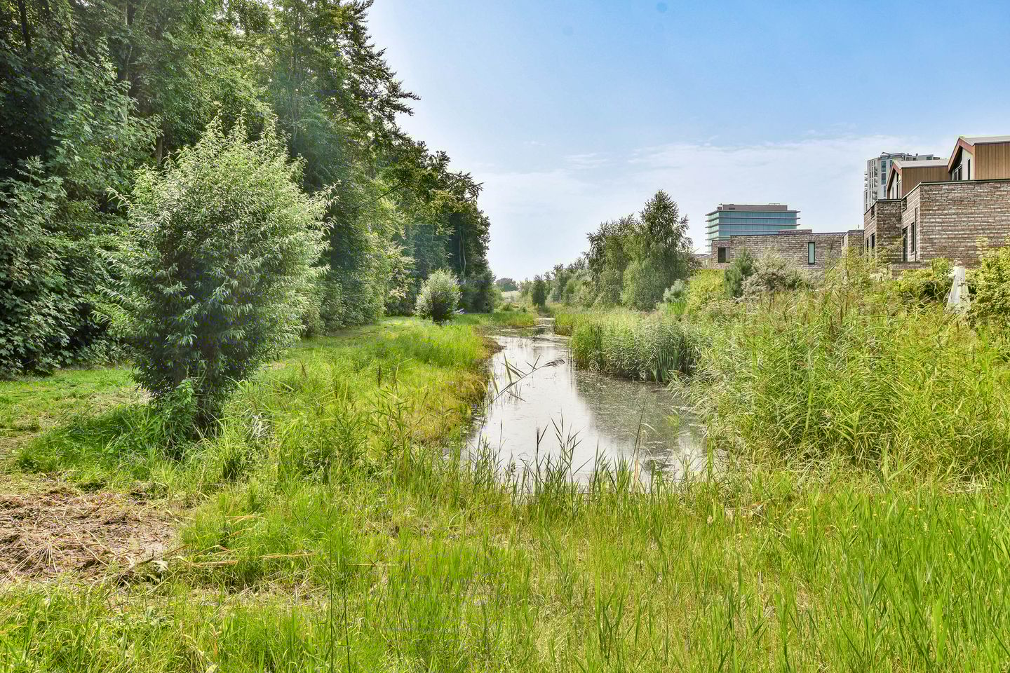 Foto 44 van Duinvoetstraat 23