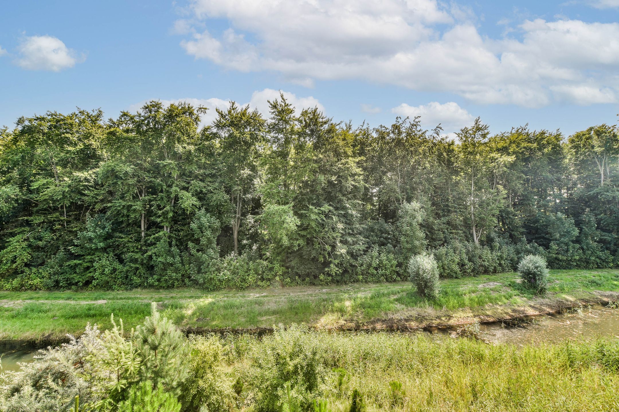 Foto 45 van Duinvoetstraat 23