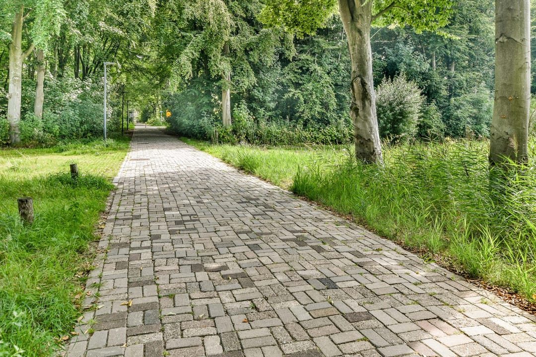 Foto 46 van Duinvoetstraat 23